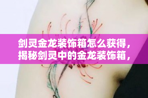 剑灵金龙装饰箱怎么获得，揭秘剑灵中的金龙装饰箱，神秘外观下的秘密宝藏