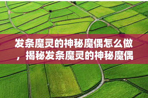 发条魔灵的神秘魔偶怎么做，揭秘发条魔灵的神秘魔偶