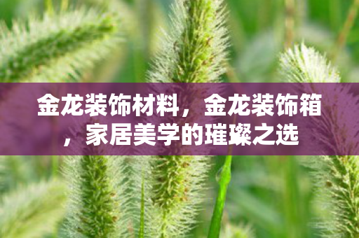 金龙装饰材料，金龙装饰箱，家居美学的璀璨之选