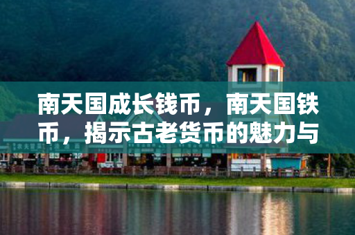 南天国成长钱币，南天国铁币，揭示古老货币的魅力与传奇