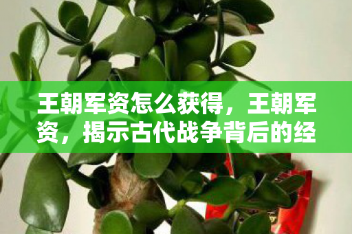 王朝军资怎么获得，王朝军资，揭示古代战争背后的经济力量与社会支撑