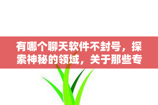 有哪个聊天软件不封号，探索神秘的领域，关于那些专门聊S不封的APP