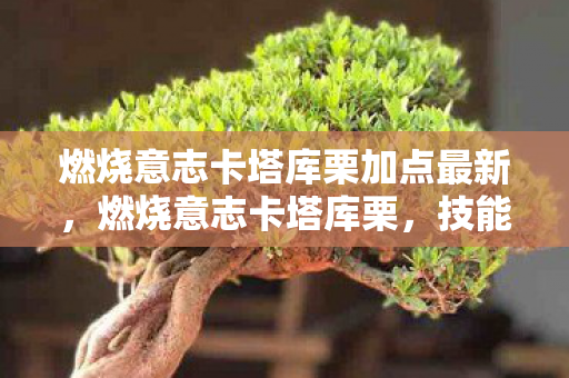 燃烧意志卡塔库栗加点最新，燃烧意志卡塔库栗，技能加点分析与策略