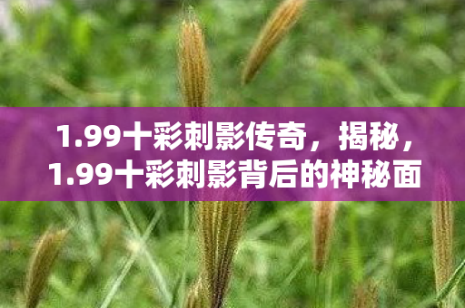 1.99十彩刺影传奇，揭秘，1.99十彩刺影背后的神秘面纱