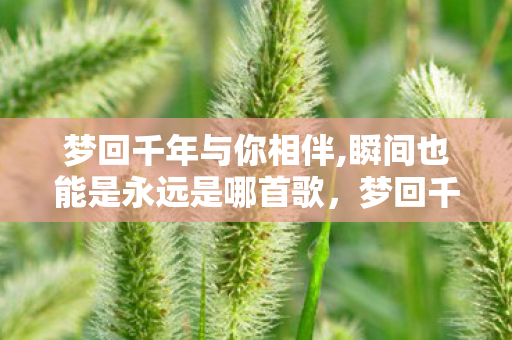 梦回千年与你相伴,瞬间也能是永远是哪首歌，梦回千年，探寻历史深处的文化印记