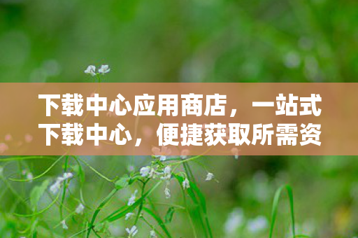 下载中心应用商店，一站式下载中心，便捷获取所需资源的全新体验