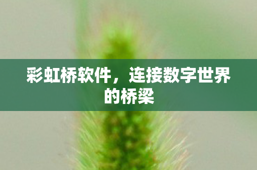 彩虹桥软件，连接数字世界的桥梁