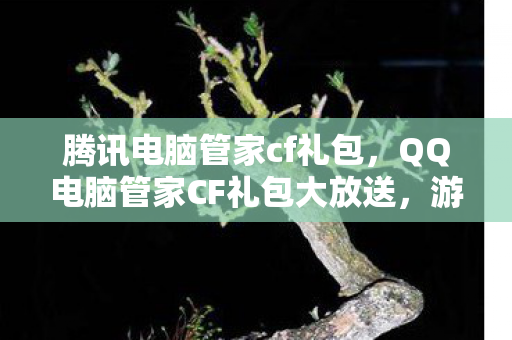 腾讯电脑管家cf礼包，QQ电脑管家CF礼包大放送，游戏爱好者们的福音