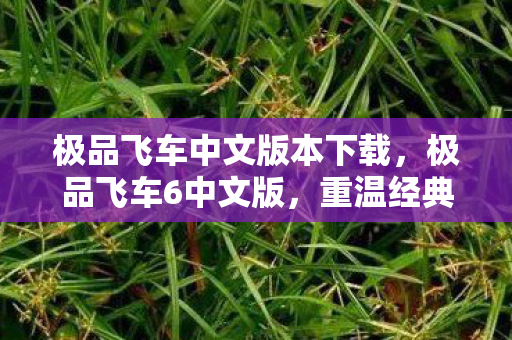 极品飞车中文版本下载，极品飞车6中文版，重温经典，感受速度与激情的碰撞