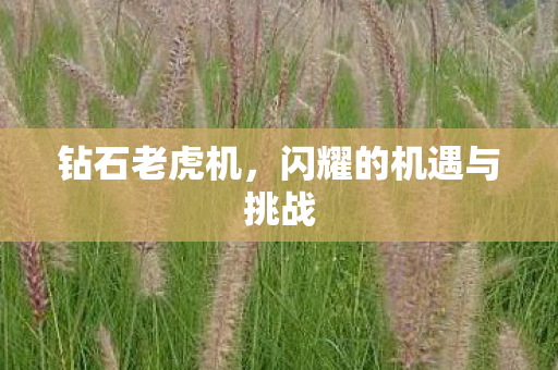 钻石老虎机，闪耀的机遇与挑战