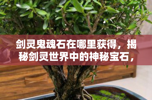 剑灵鬼魂石在哪里获得，揭秘剑灵世界中的神秘宝石，鬼魂石传奇