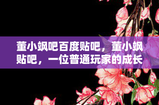 董小飒吧百度贴吧，董小飒贴吧，一位普通玩家的成长之路
