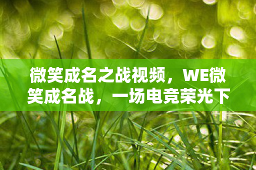 微笑成名之战视频，WE微笑成名战，一场电竞荣光下的传奇胜利