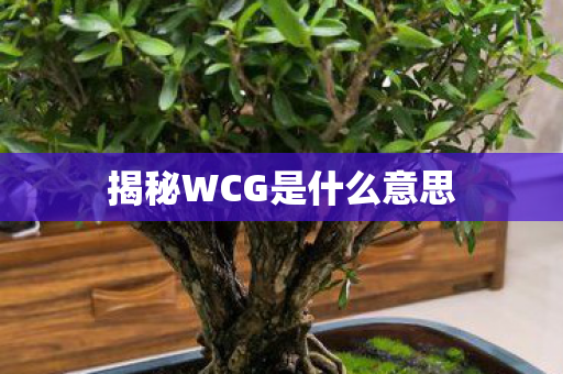 揭秘WCG是什么意思