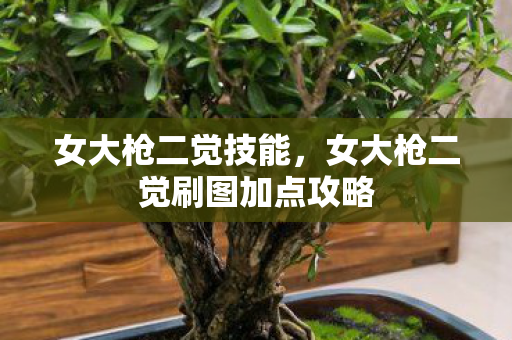 女大枪二觉技能，女大枪二觉刷图加点攻略