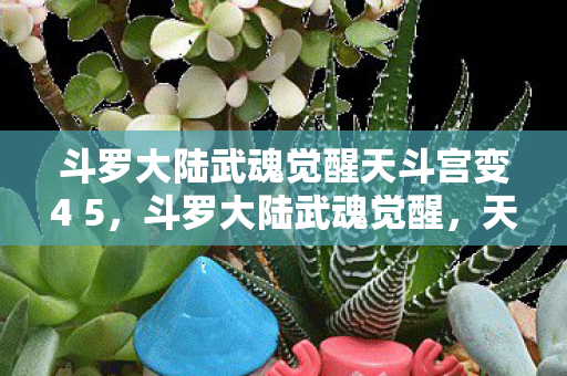 斗罗大陆武魂觉醒天斗宫变4 5，斗罗大陆武魂觉醒，天斗宫变之风云再起第四章至第五章详解