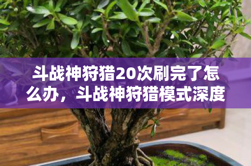 斗战神狩猎20次刷完了怎么办，斗战神狩猎模式深度解析