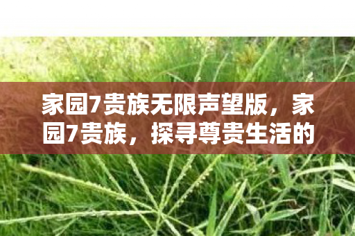 家园7贵族无限声望版，家园7贵族，探寻尊贵生活的独特魅力