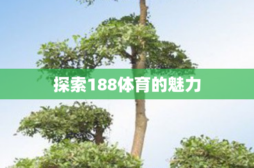 探索188体育的魅力