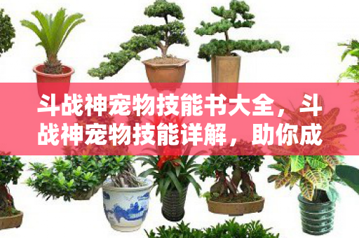 斗战神宠物技能书大全，斗战神宠物技能详解，助你成为战场上的得力助手