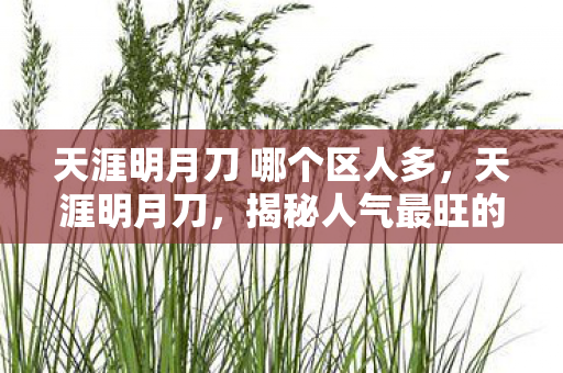 天涯明月刀 哪个区人多，天涯明月刀，揭秘人气最旺的服务器区域