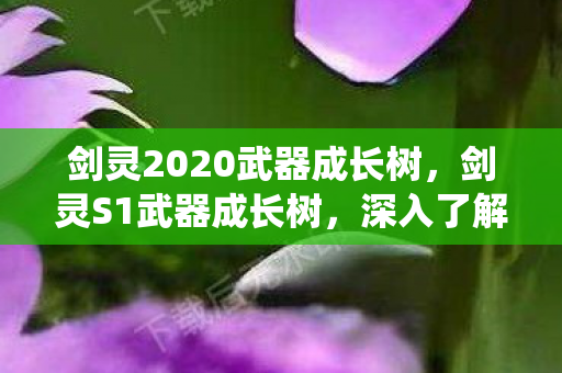 剑灵2020武器成长树，剑灵S1武器成长树，深入了解武器成长系统