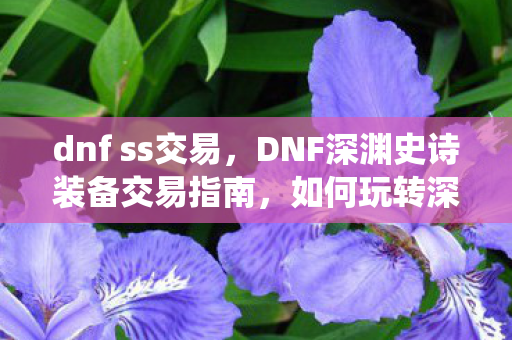 dnf ss交易，DNF深渊史诗装备交易指南，如何玩转深渊产物交易系统？