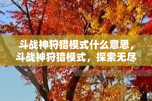 斗战神狩猎模式什么意思，斗战神狩猎模式，探索无尽战斗激情的乐园