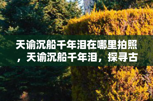 天谕沉船千年泪在哪里拍照，天谕沉船千年泪，探寻古沉船之谜，揭示历史长河中的遗憾与传奇