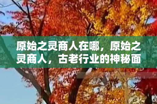 原始之灵商人在哪，原始之灵商人，古老行业的神秘面纱与未来展望