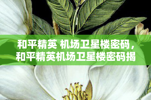 和平精英 机场卫星楼密码，和平精英机场卫星楼密码揭秘，战略要地的秘密之门