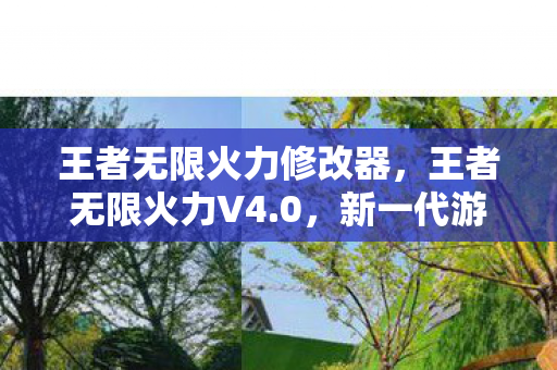 王者无限火力修改器，王者无限火力V4.0，新一代游戏热潮的领跑者