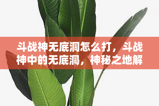 斗战神无底洞怎么打，斗战神中的无底洞，神秘之地解析与攻略