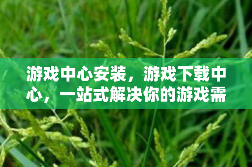 游戏中心安装，游戏下载中心，一站式解决你的游戏需求