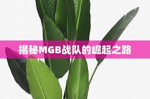 揭秘MGB战队的崛起之路
