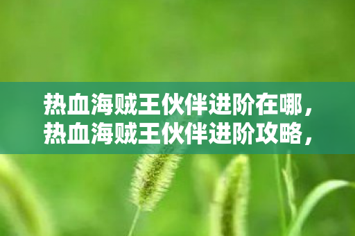 热血海贼王伙伴进阶在哪，热血海贼王伙伴进阶攻略，掌握进阶技巧，提升伙伴实力