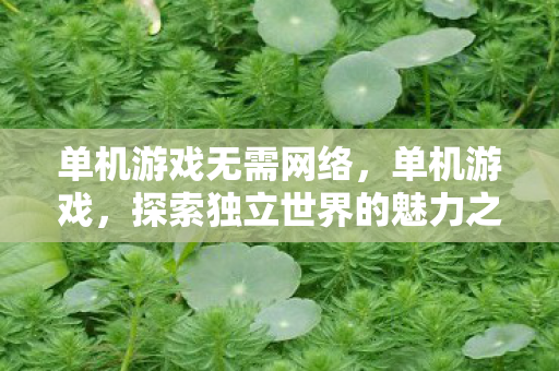单机游戏无需网络，单机游戏，探索独立世界的魅力之旅