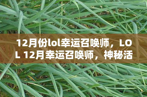 12月份lol幸运召唤师，LOL 12月幸运召唤师，神秘活动背后的故事