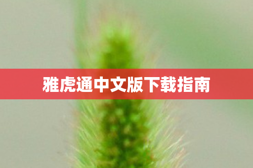 雅虎通中文版下载指南