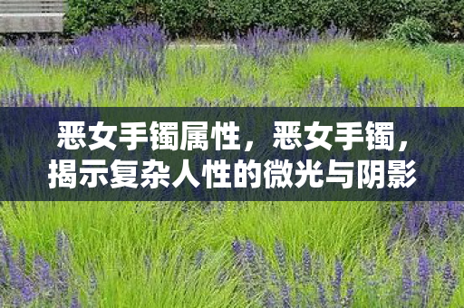 恶女手镯属性，恶女手镯，揭示复杂人性的微光与阴影