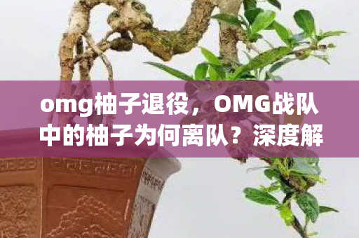 omg柚子退役，OMG战队中的柚子为何离队？深度解析背后的原因