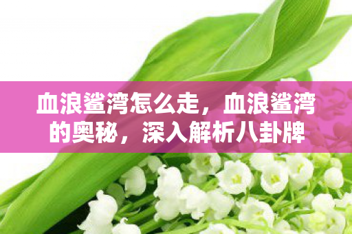 血浪鲨湾怎么走，血浪鲨湾的奥秘，深入解析八卦牌