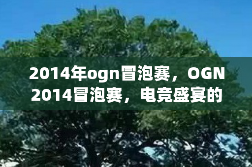 2014年ogn冒泡赛，OGN2014冒泡赛，电竞盛宴的热血瞬间
