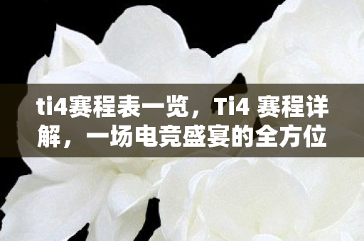 ti4赛程表一览，Ti4 赛程详解，一场电竞盛宴的全方位解读