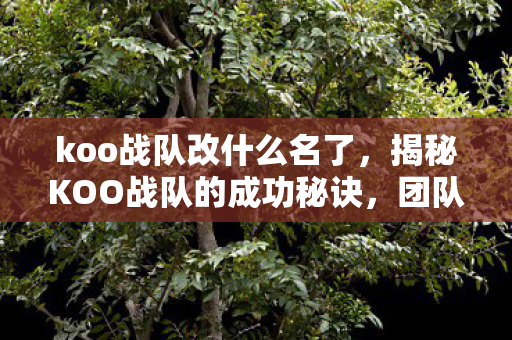 koo战队改什么名了，揭秘KOO战队的成功秘诀，团队力量与战术创新的完美结合