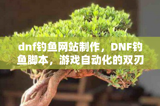 dnf钓鱼网站制作，DNF钓鱼脚本，游戏自动化的双刃剑