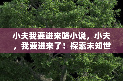 小夫我要进来咯小说，小夫，我要进来了！探索未知世界的冒险之旅