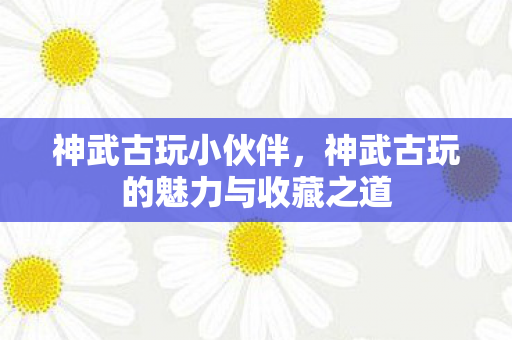 神武古玩小伙伴，神武古玩的魅力与收藏之道