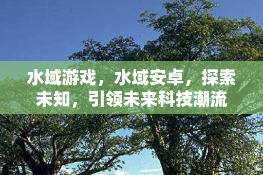 水域游戏，水域安卓，探索未知，引领未来科技潮流