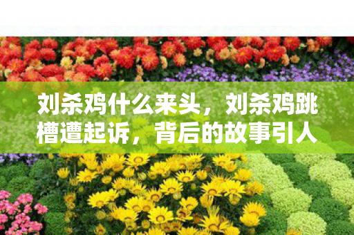 刘杀鸡什么来头，刘杀鸡跳槽遭起诉，背后的故事引人深思